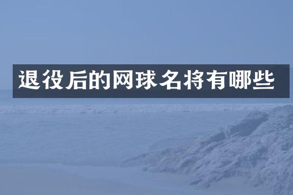 退役后的网球名将有哪些