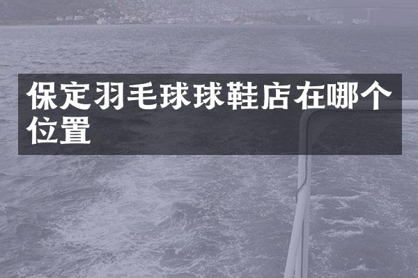 保定羽毛球球鞋店在哪个位置