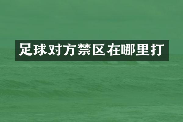 足球对方禁区在哪里打