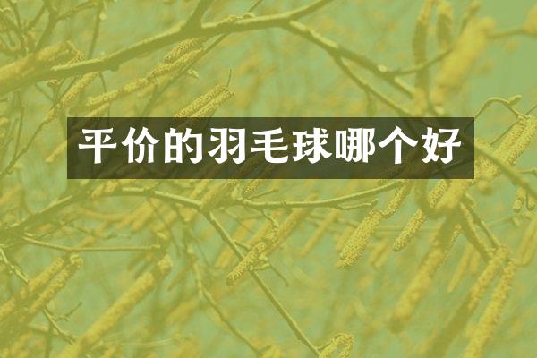 平价的羽毛球哪个好