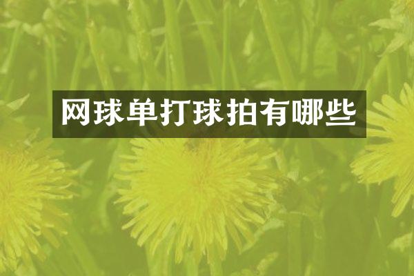 网球单打球拍有哪些