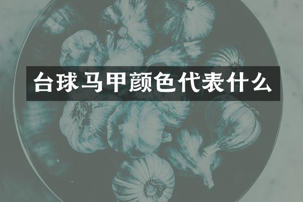 台球马甲颜色代表什么
