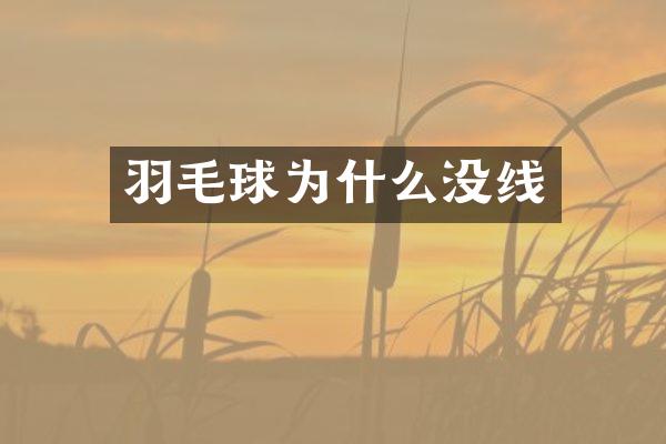 羽毛球为什么没线