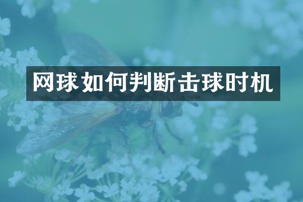 网球如何判断击球时机