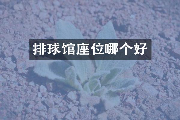 排球馆座位哪个好
