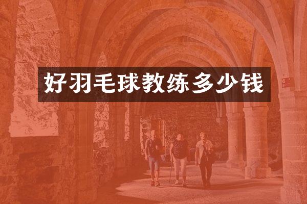 好羽毛球教练多少钱