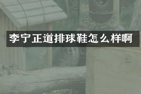李宁正道排球鞋怎么样啊