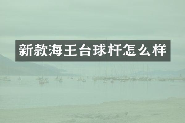 新款海王台球杆怎么样