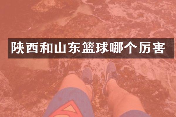 陕西和山东篮球哪个厉害