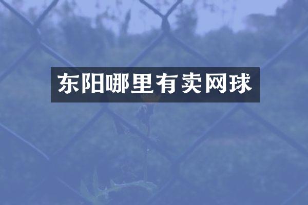 东阳哪里有卖网球