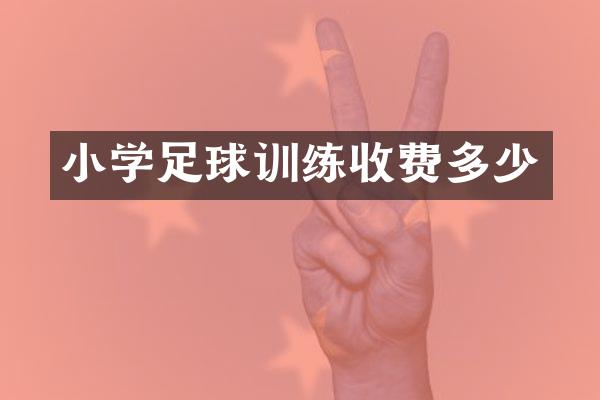 小学足球训练收费多少
