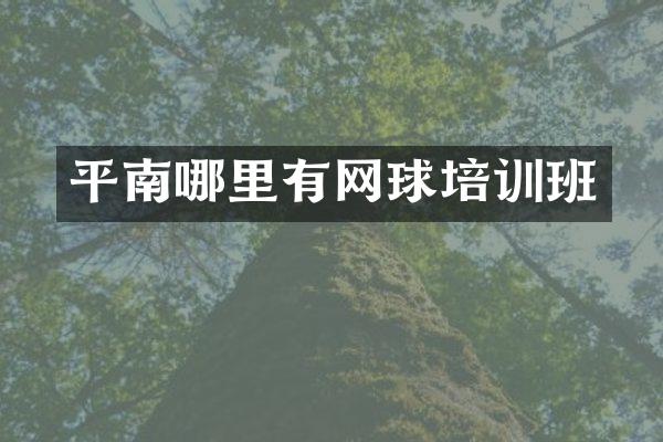 平南哪里有网球培训班