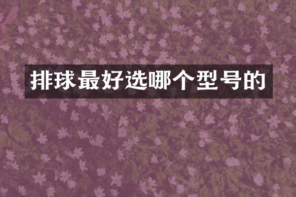排球最好选哪个型号的
