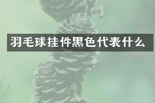 羽毛球挂件黑色代表什么