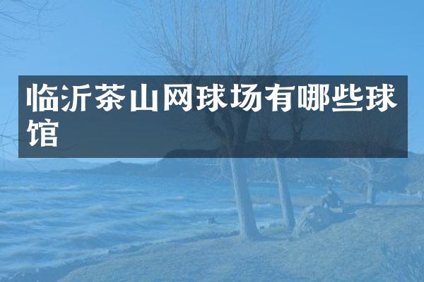 临沂茶山网球场有哪些球馆