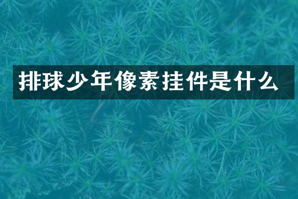 排球少年像素挂件是什么
