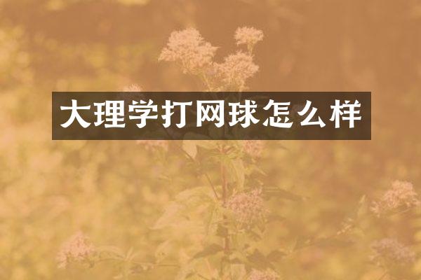 大理学打网球怎么样