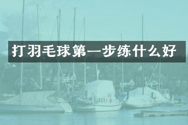 打羽毛球第一步练什么好