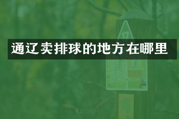 通辽卖排球的地方在哪里