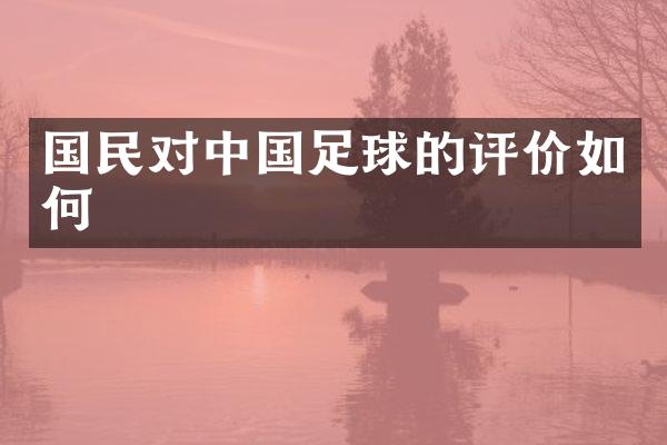 国民对中国足球的评价如何