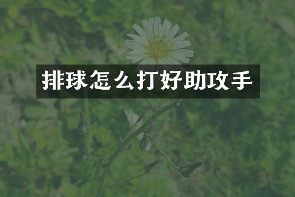 排球怎么打好助攻手