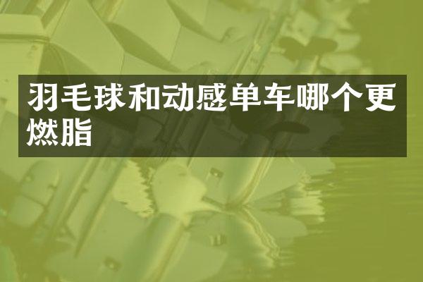 羽毛球和动感单车哪个更燃脂