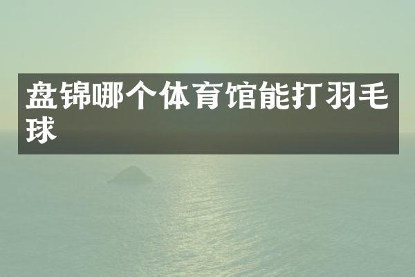 盘锦哪个体育馆能打羽毛球