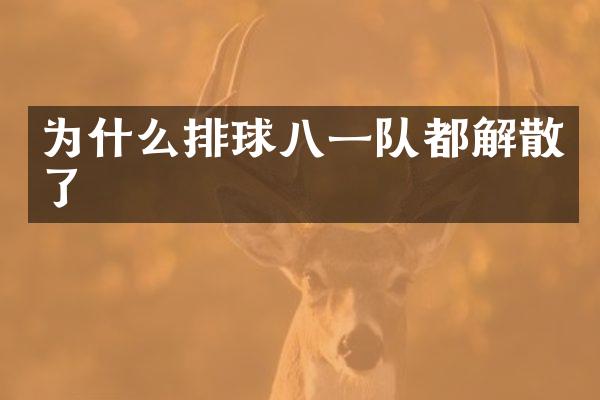 为什么排球八一队都解散了