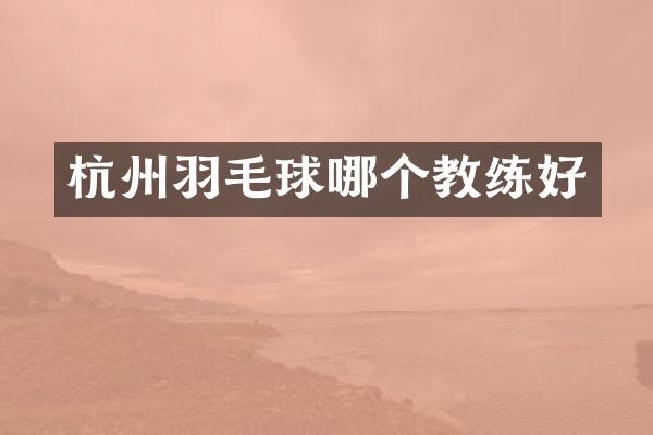 杭州羽毛球哪个教练好