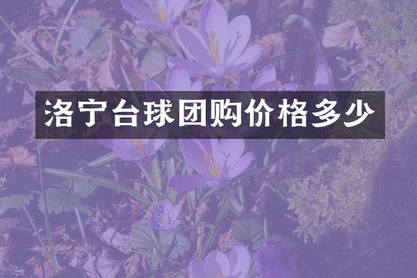 洛宁台球团购价格多少