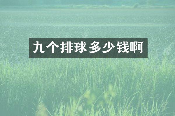 九个排球多少钱啊