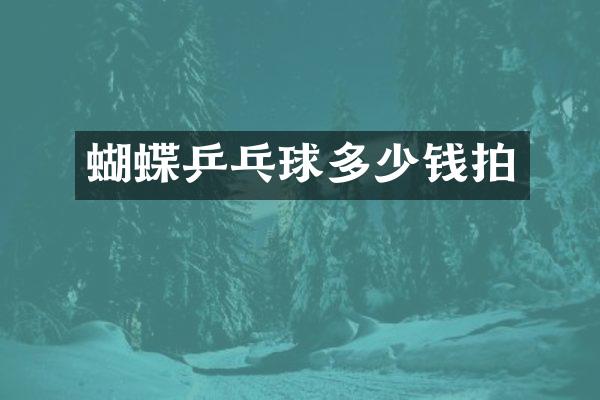 蝴蝶乒乓球多少钱拍