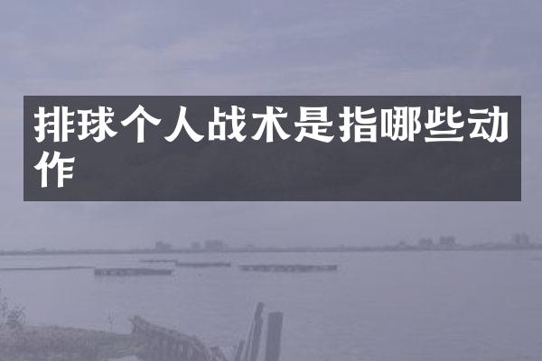 排球个人战术是指哪些动作