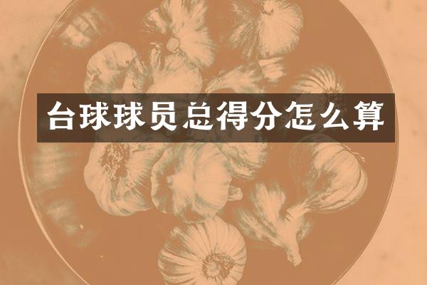 台球球员总得分怎么算