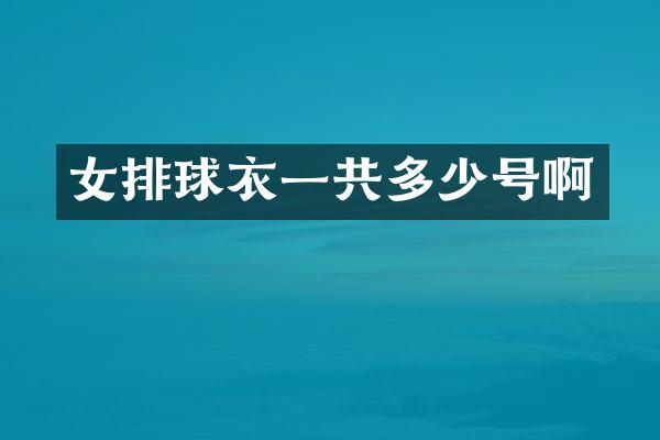 女排球衣一共多少号啊