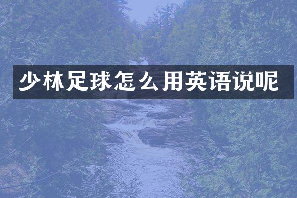 少林足球怎么用英语说呢