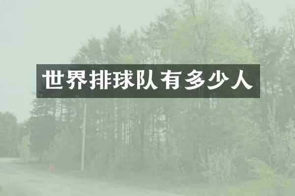 世界排球队有多少人