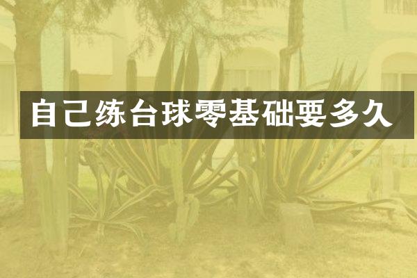 自己练台球零基础要多久