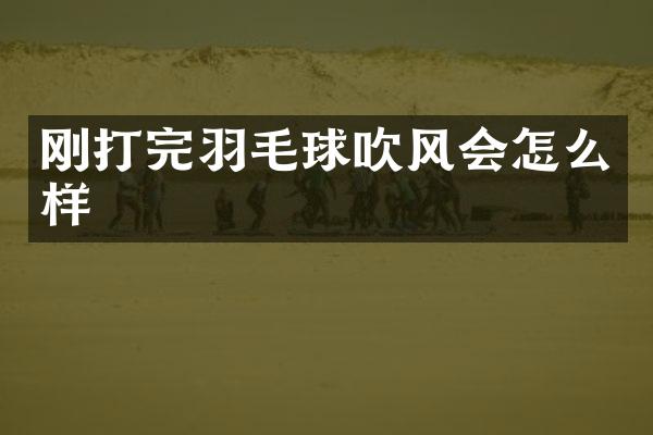 刚打完羽毛球吹风会怎么样