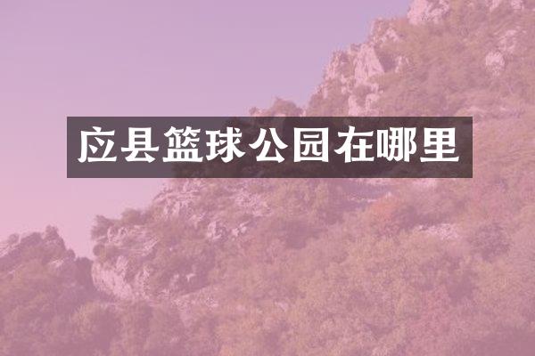 应县篮球公园在哪里