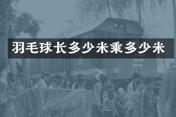 羽毛球长多少米乘多少米