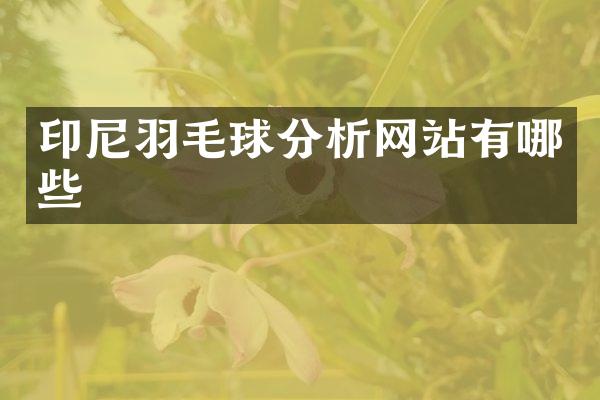 印尼羽毛球分析网站有哪些