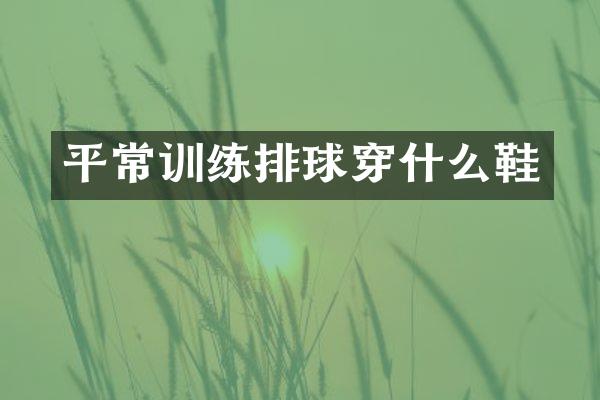 平常训练排球穿什么鞋