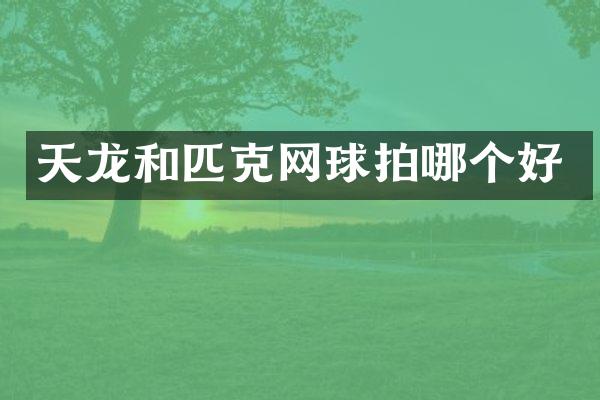 天龙和匹克网球拍哪个好