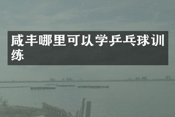咸丰哪里可以学乒乓球训练