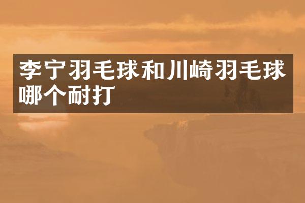 李宁羽毛球和川崎羽毛球哪个耐打