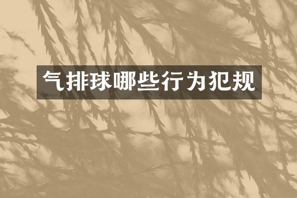 气排球哪些行为犯规