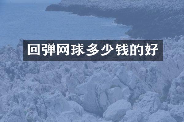 回弹网球多少钱的好
