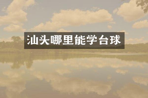 汕头哪里能学台球