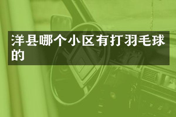 洋县哪个小区有打羽毛球的